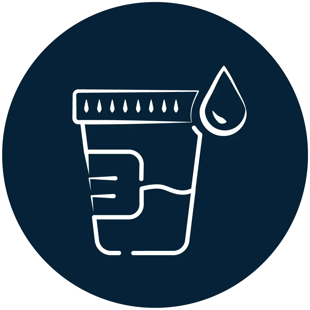 Urine Urine