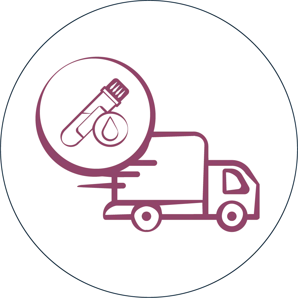 Van Or Vehicle - Collection No.1 Van Or Vehicle - Collection No.1